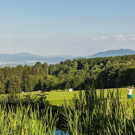 Daschner Gmbh Waldmünchen